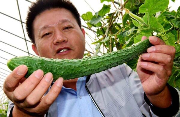 生鮮食材配送為什么大多不能與客戶建立長期合作？