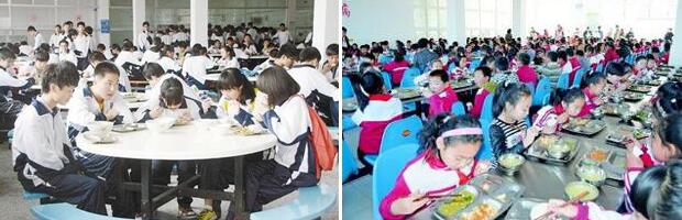 號(hào)稱“中小學(xué)營養(yǎng)餐”卻每年浪費(fèi)驚人 問題出在哪？